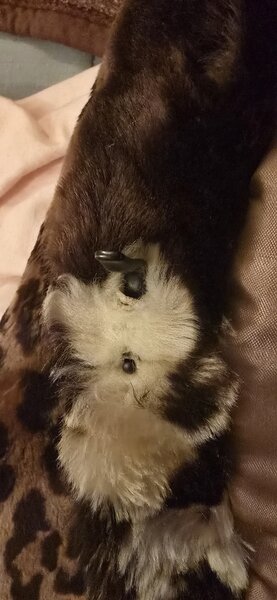 Vand cojoc animal print (blana naturala).